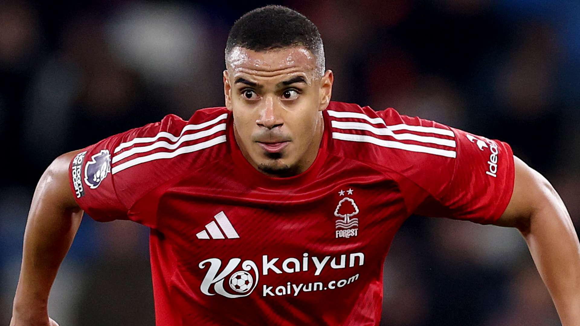 不可或缺的 不可或缺的