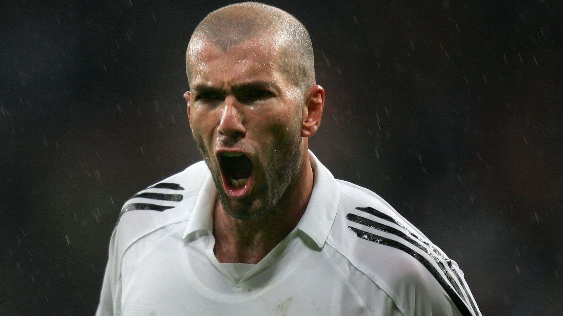 动员展示个 动员展示个