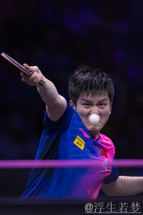 樊振东将竞技体育的热血展现的淋漓尽致! 樊振东将竞技体育的热血展现的淋漓尽致!